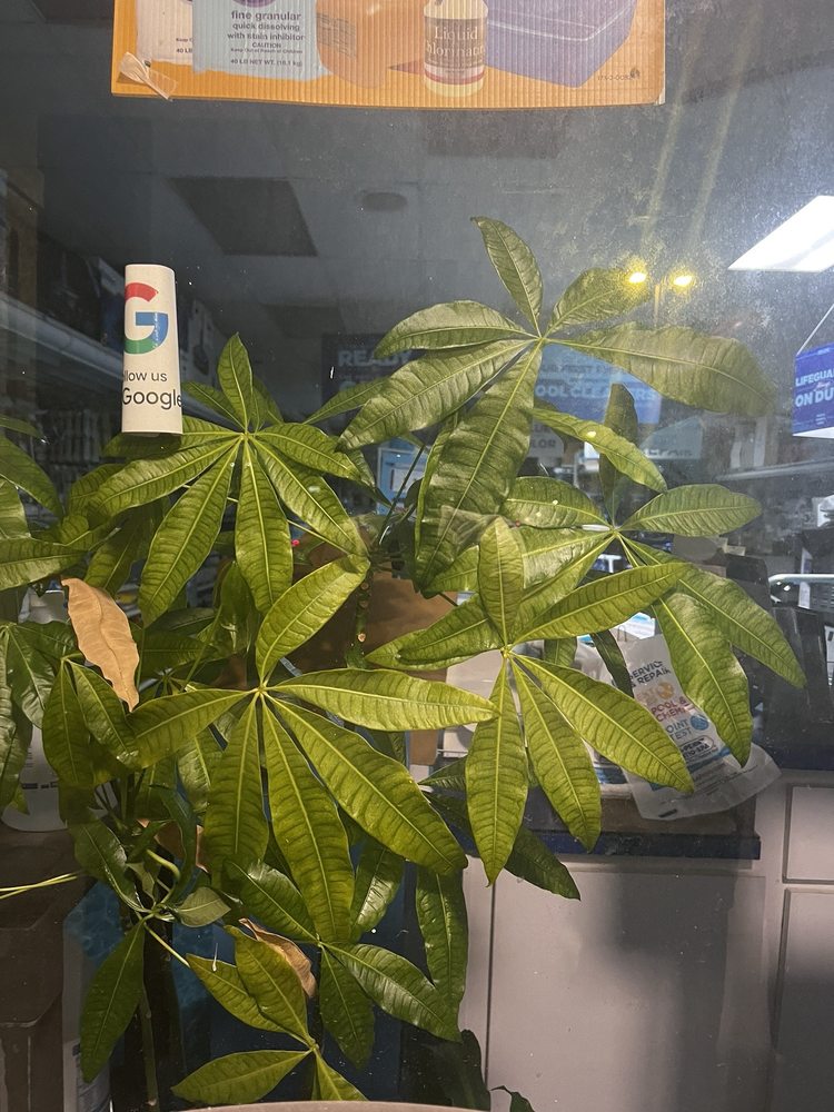 PINCH A PENNY Updated September 2024 13 Reviews 4902 S Kirkman Rd, Orlando, Florida Hot