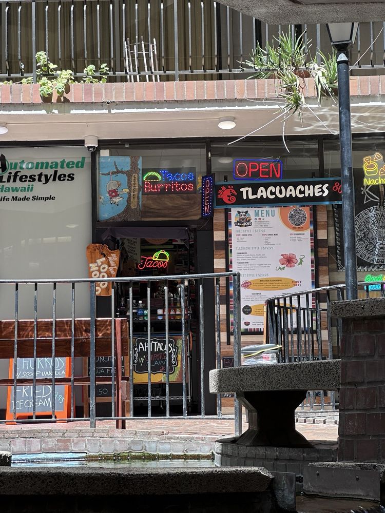 Tlacuaches 808