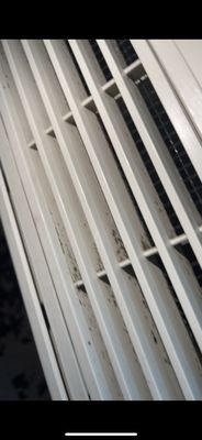 Grand Tuscany by null