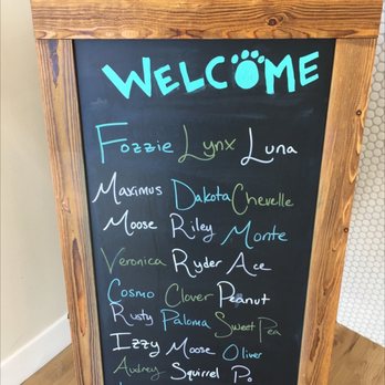 Circle C Animal Hospital - Veterinarians Near Me - Austin, Texas Circle C Animal Hospital - Veterinarians Near Me - Austin, Texas