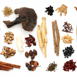 Stillpoint Acupuncture - Chinese Herbal Medicine