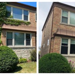 Before and after vines on the house