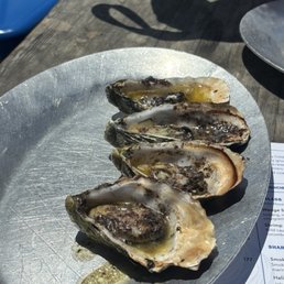 Miso butter grilled oysters Miso butter grilled oysters