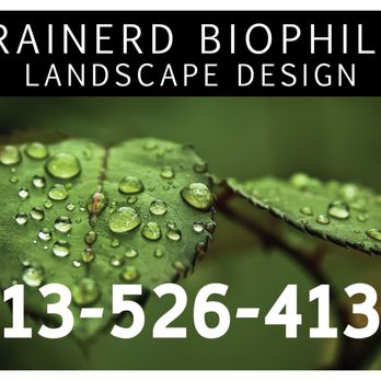 Brainerd Biophilic - Landscape Architects or Designers Near Me - Tampa, Florida Brainerd Biophilic - Landscape Architects or Designers Near Me - Tampa, Florida