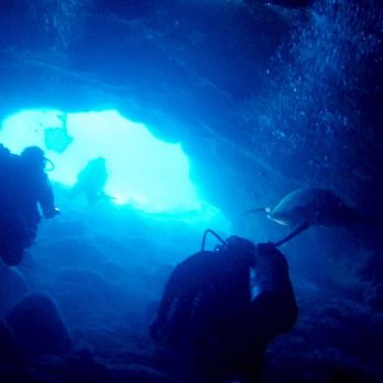 Maui Dreams Dive - Swimming out of the bubble cave! - Scuba Diving Near Me - Kihei, Hawaii Maui Dreams Dive - Swimming out of the bubble cave! - Scuba Diving Near Me - Kihei, Hawaii