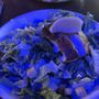 Southernmost Bar & Grille