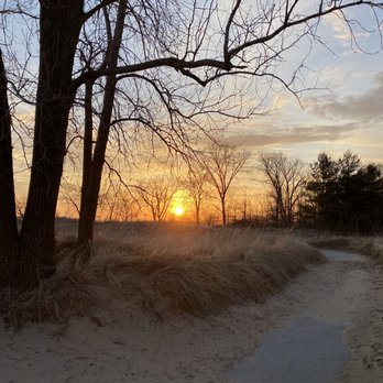South Shore Nature Sanctuary - Sunrise coming up from the lake & through the trees - Parks Near Me - Chicago, Illinois South Shore Nature Sanctuary - Sunrise coming up from the lake & through the trees - Parks Near Me - Chicago, Illinois