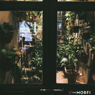 The Shelter Coffee by null