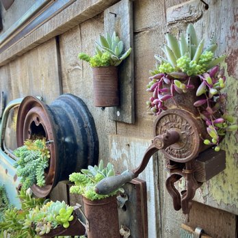 Succulent Coffee - Repurposed works of art. - Coffee & Tea Near Me - Oceanside, California