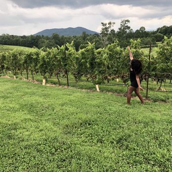 Round Peak Vineyards - Wineries Near Me - Mount Airy, North Carolina Round Peak Vineyards - Wineries Near Me - Mount Airy, North Carolina