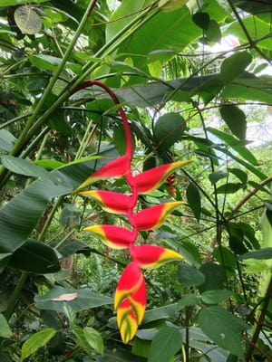 Eden Project by null