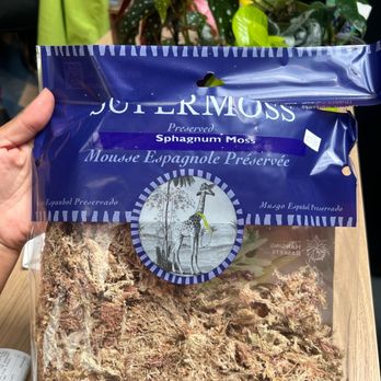 East Bay Nursery - Mislabeled Moss - Nurseries & Gardening Near Me - Berkeley, California