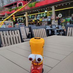 The Coaster at Goats on the Roof