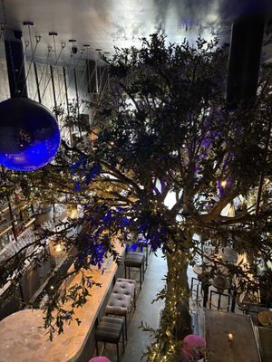 TomTom Restaurant & Bar by null TomTom Restaurant & Bar by null