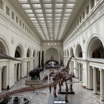 Field Museum - Museums Near Me - Chicago, Illinois Field Museum - Museums Near Me - Chicago, Illinois