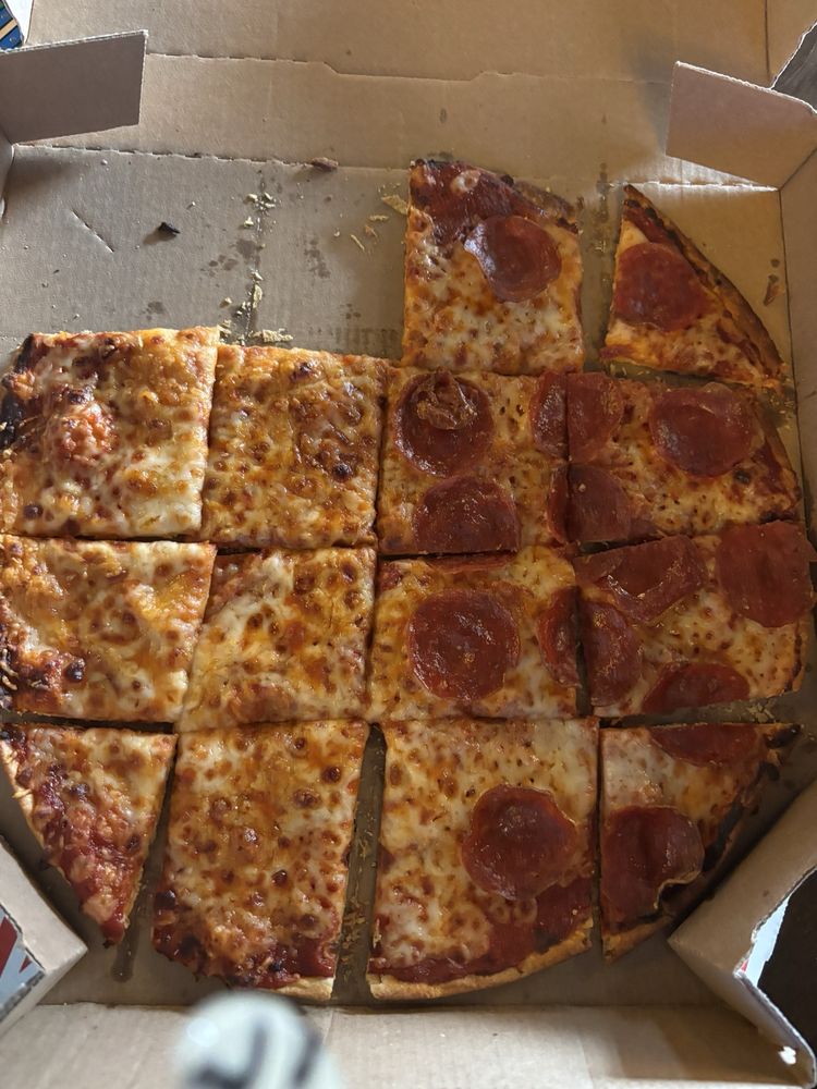 Domino's Pizza Logo