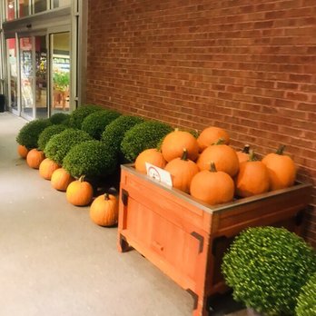 Winn-Dixie - Pumpkin Time! - Grocery Near Me - Birmingham, Alabama