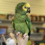 Photo of The Bird Store and More