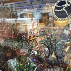 Paradis Blomsten - Et kig gennem ruden...
