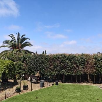 Luis Junk Removal and Landscape - Landscaping Near Me Luis Junk Removal and Landscape - Landscaping Near Me