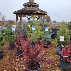 Spangler's Landscaping & Garden Center