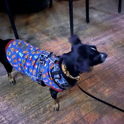 Katie's Cozy Cabins - They allow the pups in the bar/restaurant