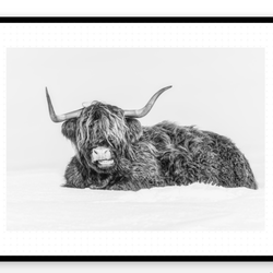 Craig Scott Photographer