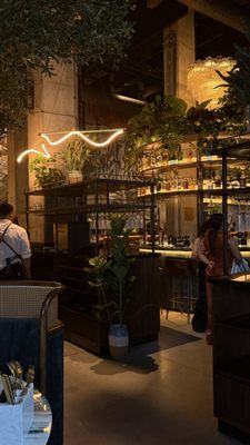 V Modern Italian by null