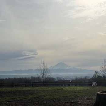 Grandview Off Leash Park - This is the reason for the park's name--- Grand View! - Dog Parks Near Me - SeaTac, Washington