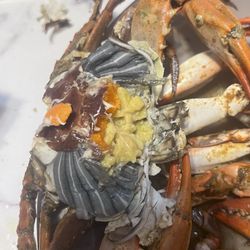 Good Times Crab House