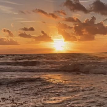 North Ocean Park - The morning view today!!! So romantic!!!  Guess who's getting married next??!!!!... :)))))   Life is good. - Parks Near Me - Pompano Beach, Florida