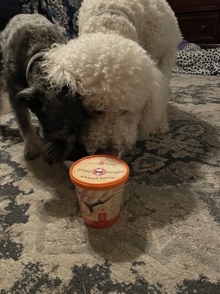 FRONTIER PETS Updated October 2024 10 Photos & 36 Reviews 1400