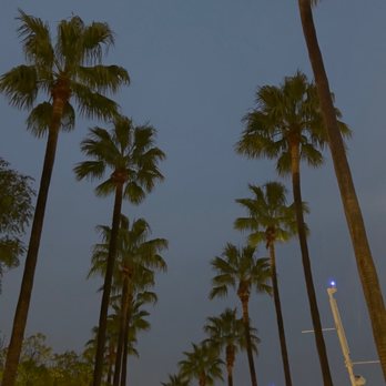 Hyatt Regency Long Beach - Hotels Near Me - Long Beach, California Hyatt Regency Long Beach - Hotels Near Me - Long Beach, California