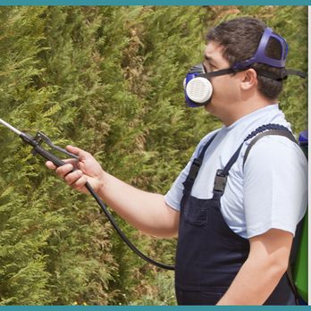Termi-Nate Pest Management - Termi-Nate Pest Management - Pest Control Near Me Termi-Nate Pest Management - Termi-Nate Pest Management - Pest Control Near Me