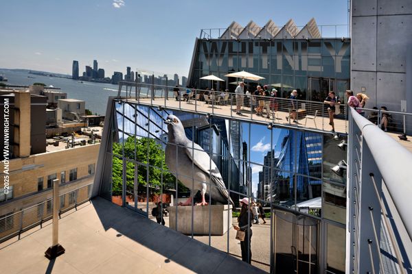 Whitney Museum of American Art by null