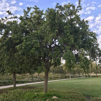Jeffrey Open Space Trail - Parks Near Me - Irvine, California Jeffrey Open Space Trail - Parks Near Me - Irvine, California