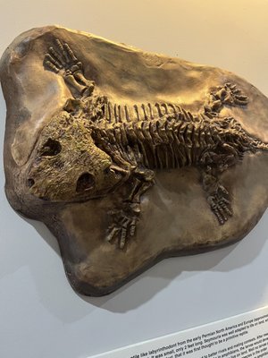 Earth Experience - Middle Tennessee Museum of Natural History by null