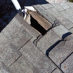 Frontline Animal Removal - This could be a squirrel or raccoon entrance.