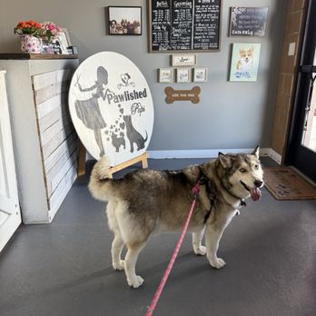 Pawlished Pups - Pet Groomers Near Me - Palmer Lake, Colorado Pawlished Pups - Pet Groomers Near Me - Palmer Lake, Colorado