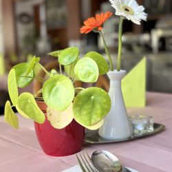 Restaurant Kohinoor - Deco