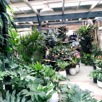 7 Day Nursery - Nurseries & Gardening Near Me - Santa Barbara, California 7 Day Nursery - Nurseries & Gardening Near Me - Santa Barbara, California