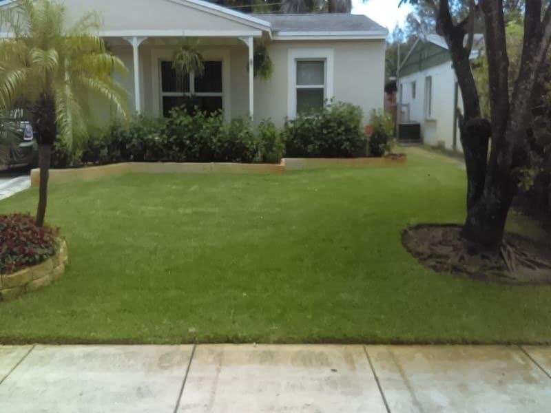 Slide of Wilson Maintenance