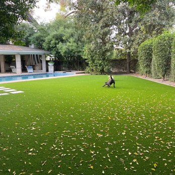 Always Green Turf - Artificial Turf Near Me - Mesa, Arizona Always Green Turf - Artificial Turf Near Me - Mesa, Arizona