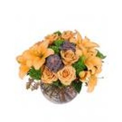 Harlan Flower Barn Apparel & Gift