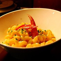 Lobster Mac & Cheese