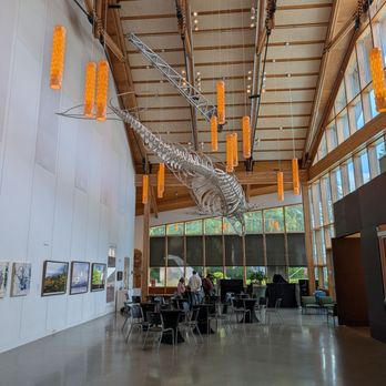 Vashon Center For The Arts - Performing Arts Near Me - Vashon, Washington Vashon Center For The Arts - Performing Arts Near Me - Vashon, Washington