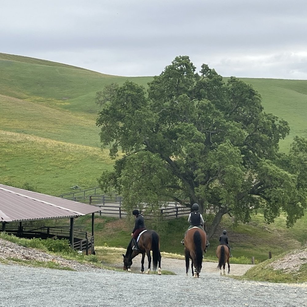 Happy horses, happy students. Happy horses, happy students.