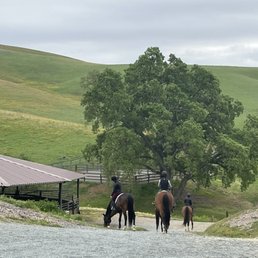 Happy horses, happy students. Happy horses, happy students.