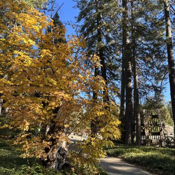 Empire Mine State Historic Park - All the fall colors in November - Parks Near Me - Grass Valley, California Empire Mine State Historic Park - All the fall colors in November - Parks Near Me - Grass Valley, California