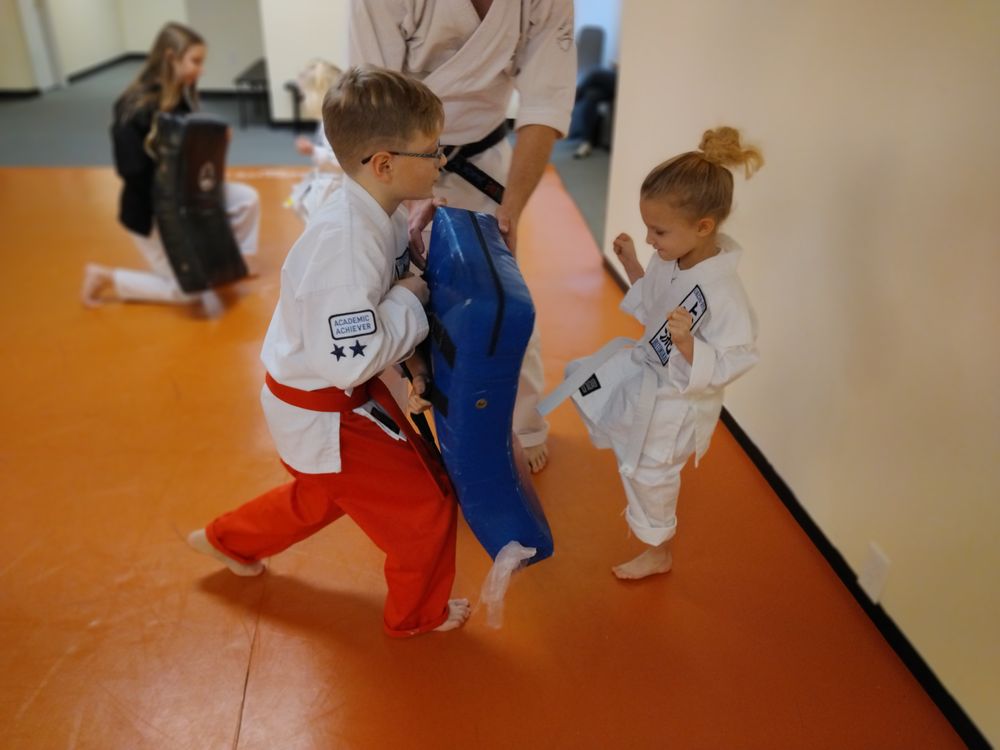 Neil Stone's Karate Academy Logo